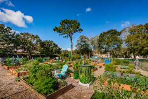 Organic Community Garden2