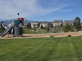  Photo 35