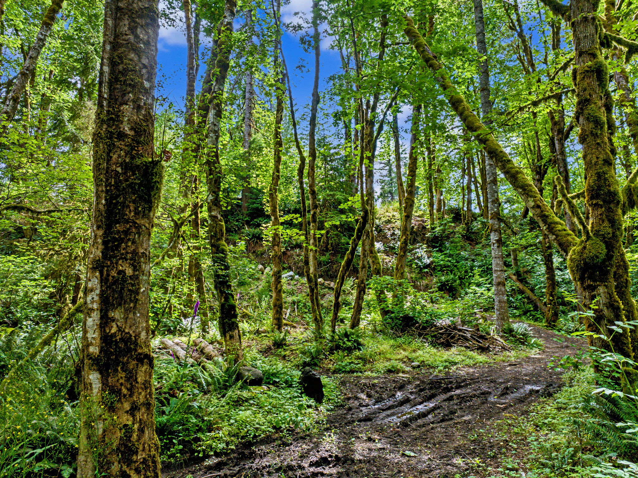  Photo 18