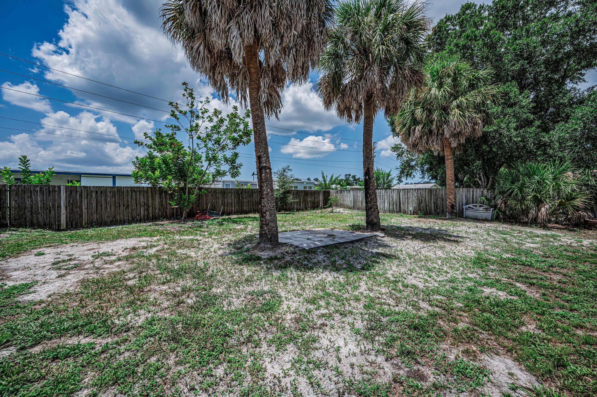 Backyard1