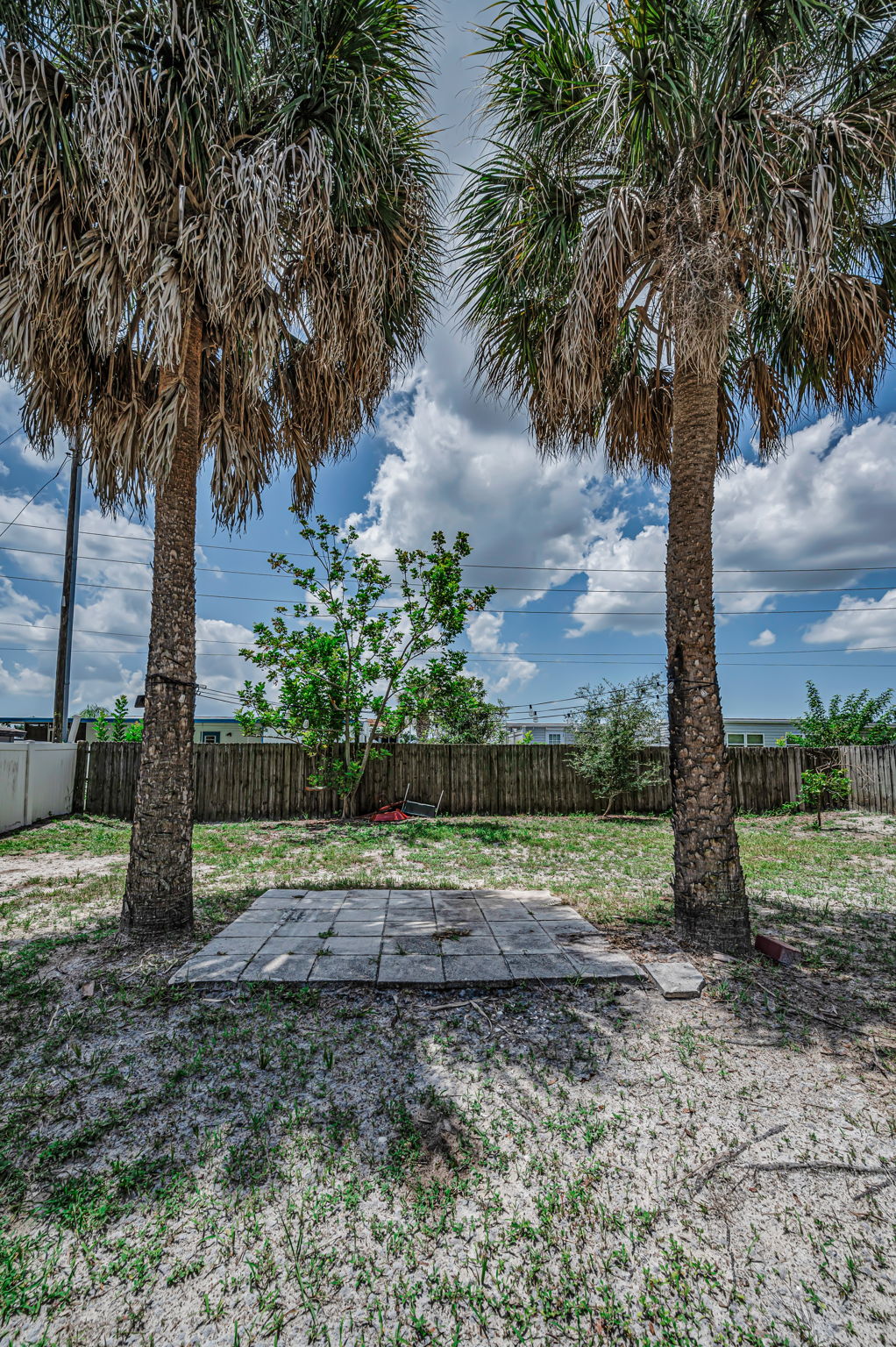 Backyard2