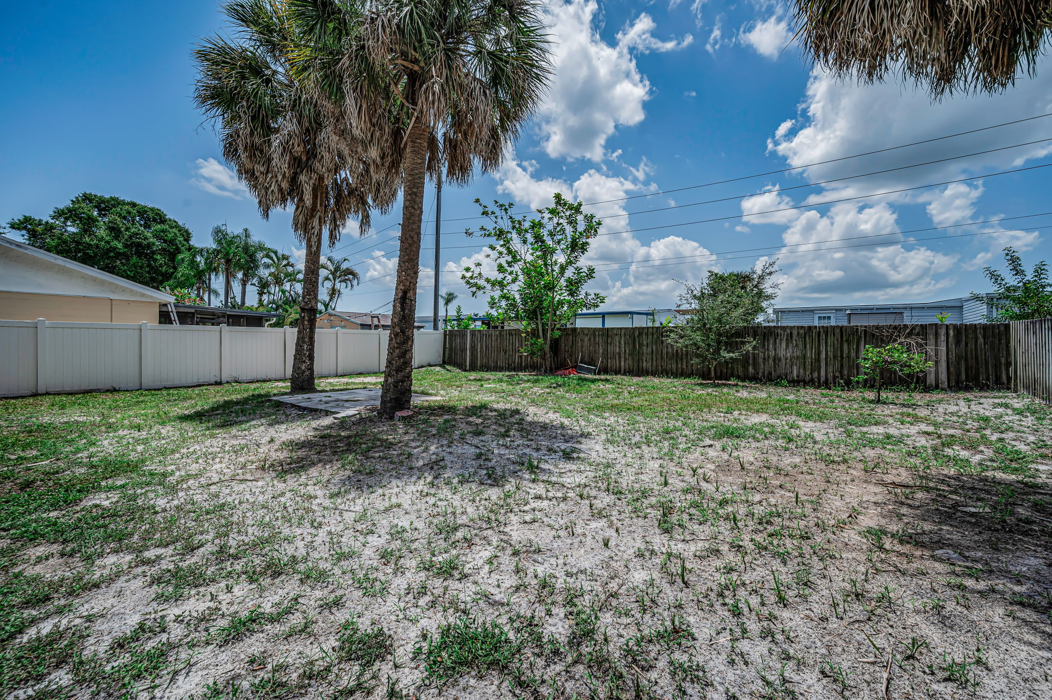 Backyard4