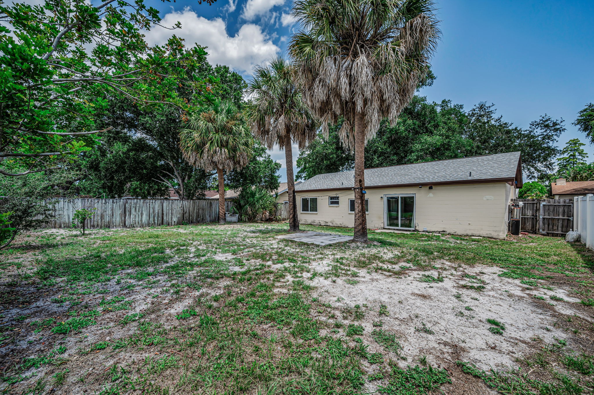 Backyard7