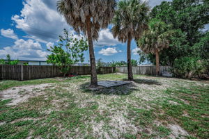 Backyard1