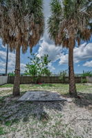 Backyard2