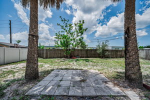 Backyard3