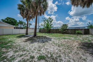 Backyard4