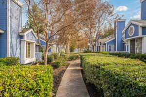 647 Alder Ln, Walnut, CA 91789, USA Photo 24