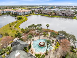 Bird View