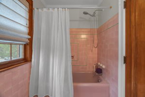  Photo 49