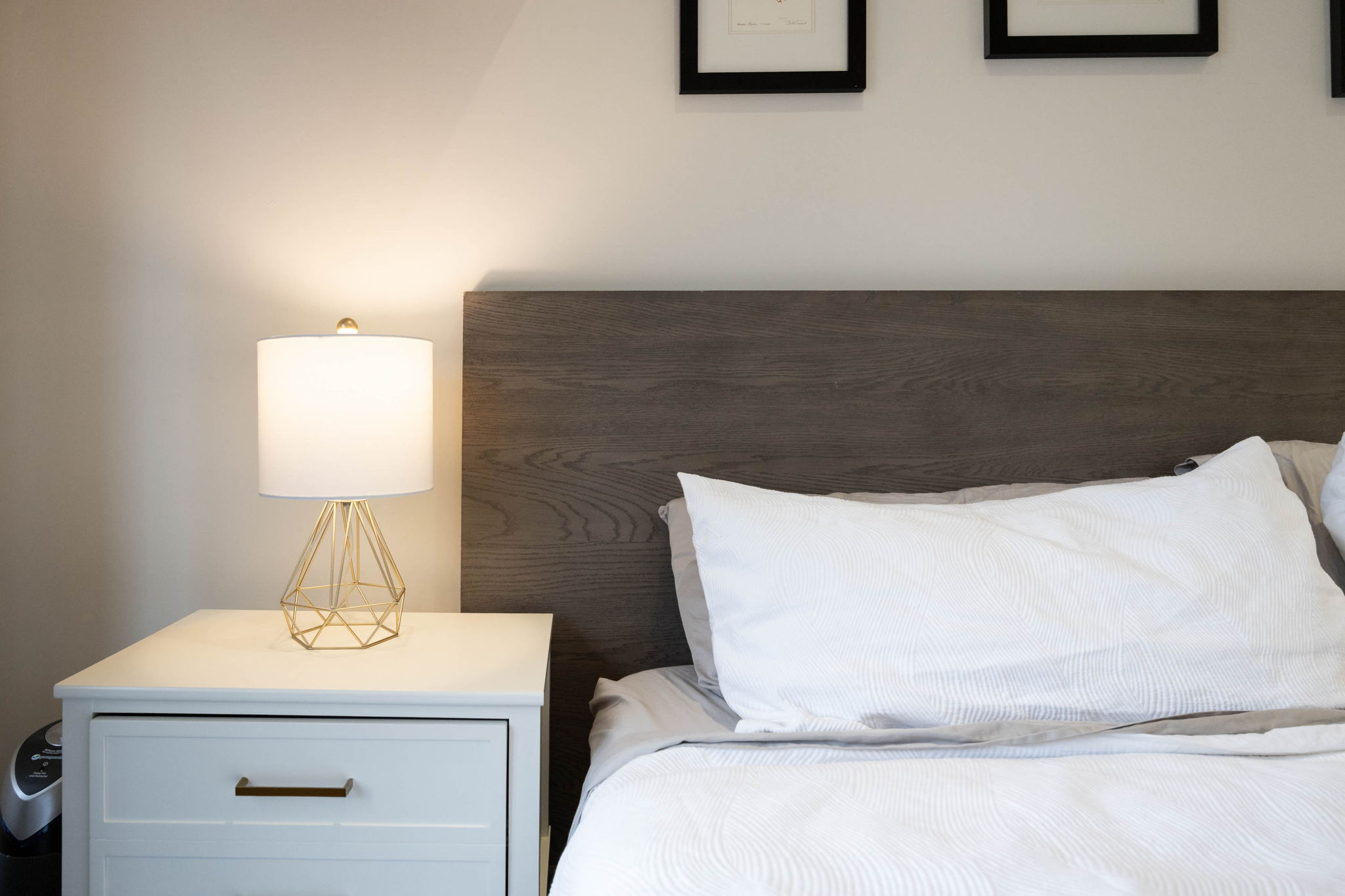 Toronto property showcase — delivered property photograph 38