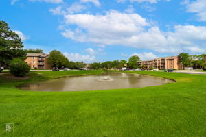649 Briar Hill Ln 1, Addison, IL 60101_014
