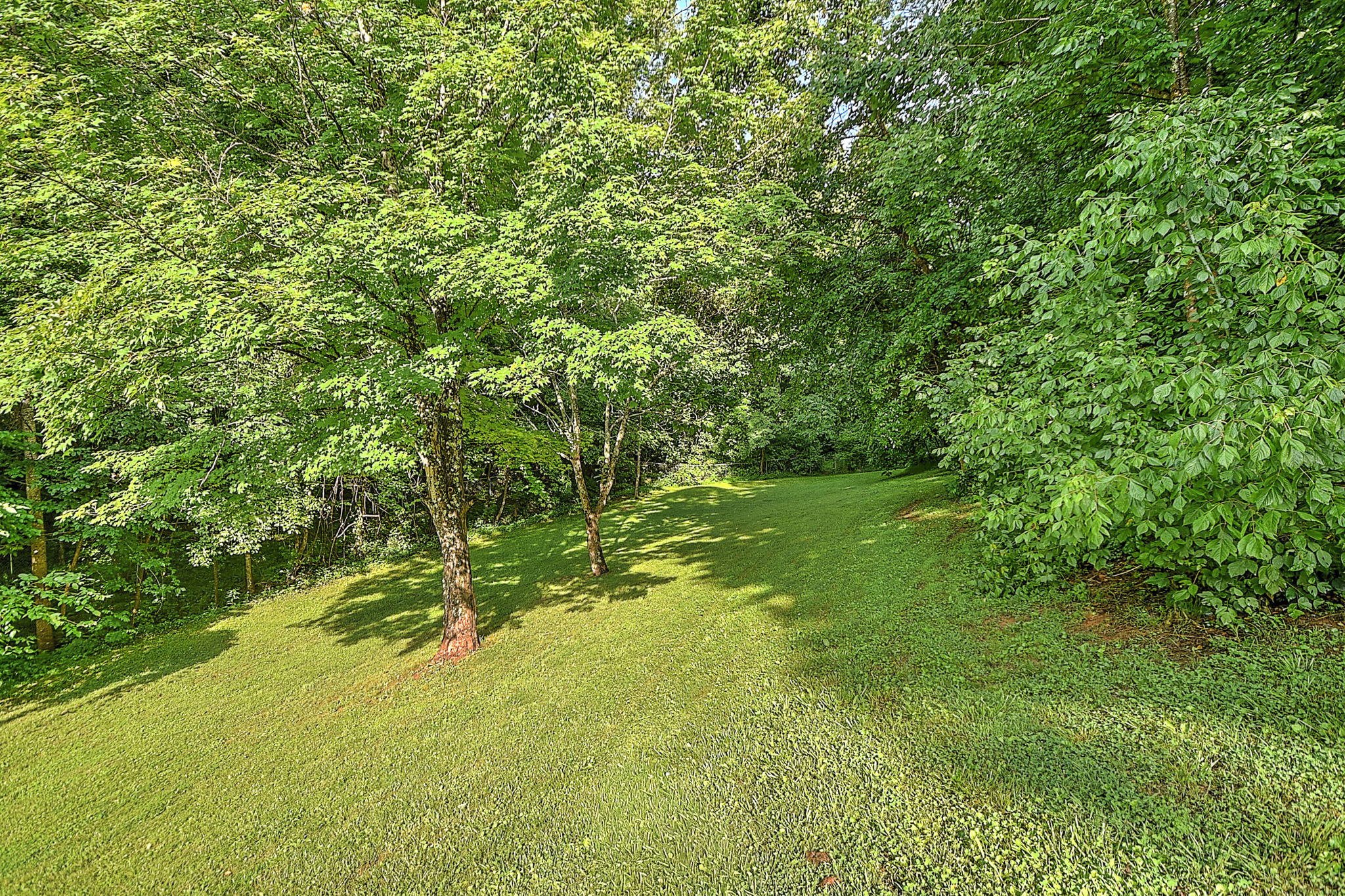  Photo 27