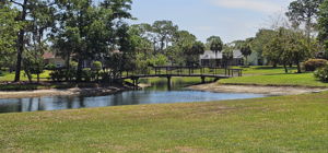 bridge
