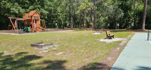 Horseshoes