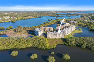 Back Drone Arrow 15