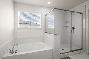 Garden Tub and Shower Stall