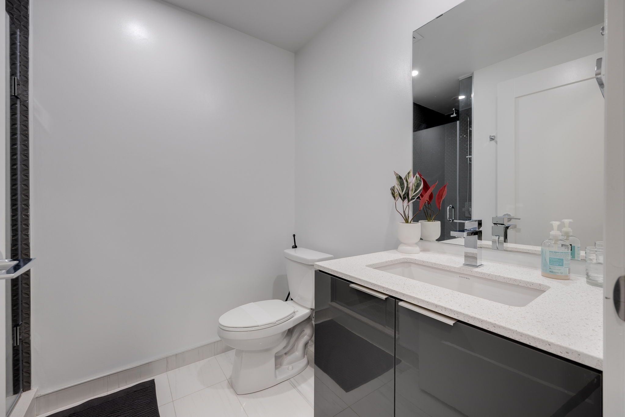 Toronto property showcase — delivered property photograph 24
