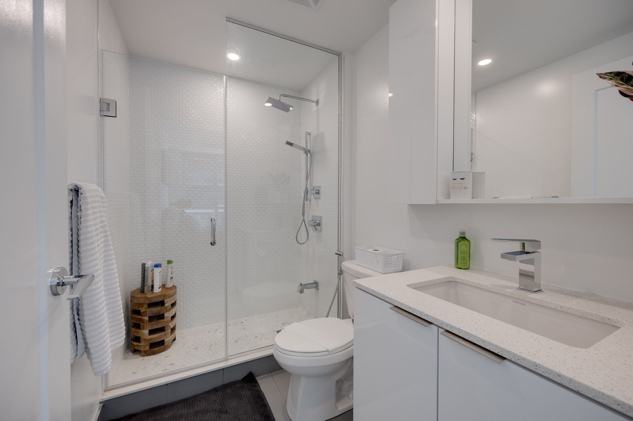 Toronto property showcase — delivered property photograph 19