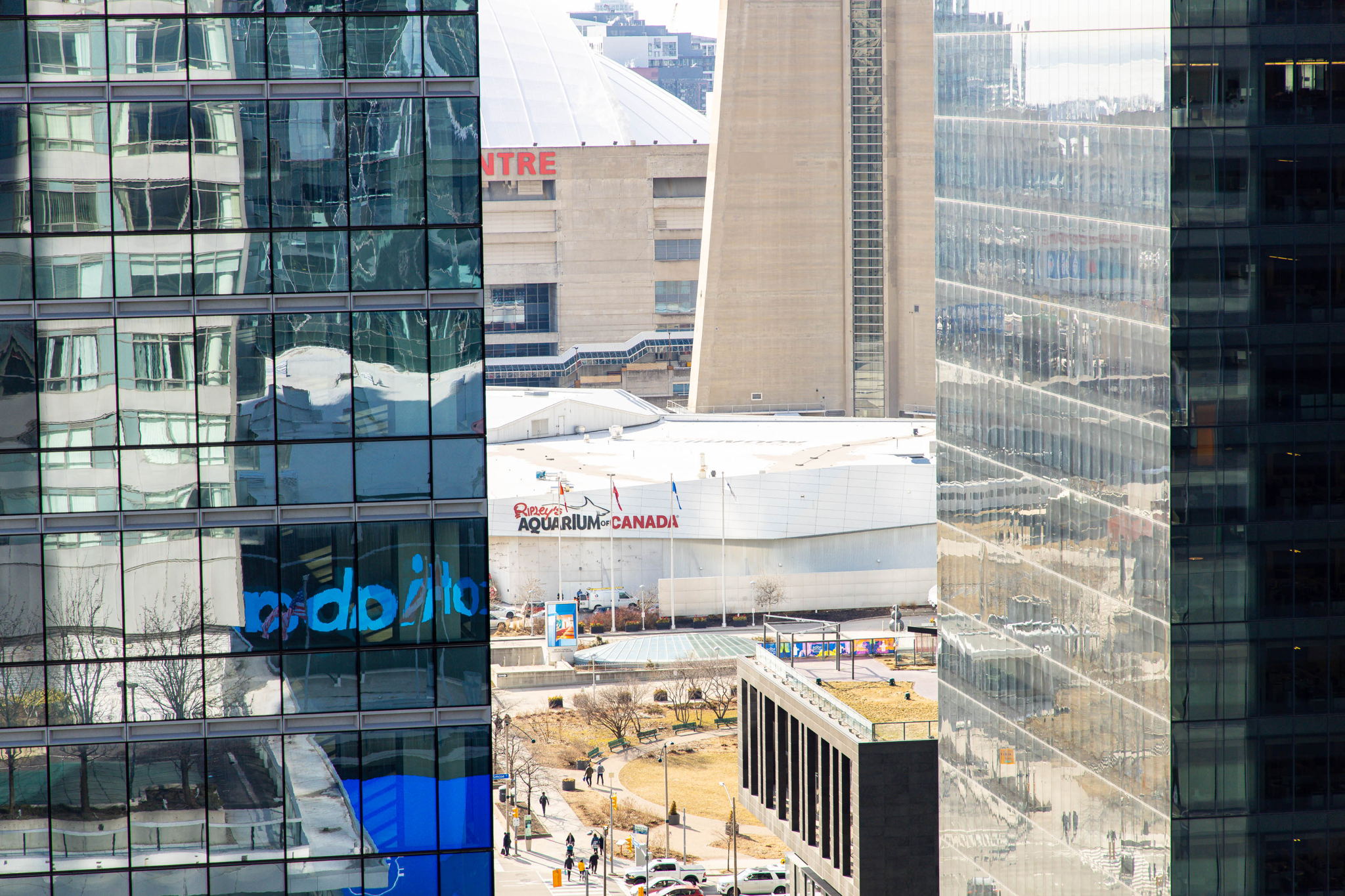 Toronto property showcase — delivered property photograph 30