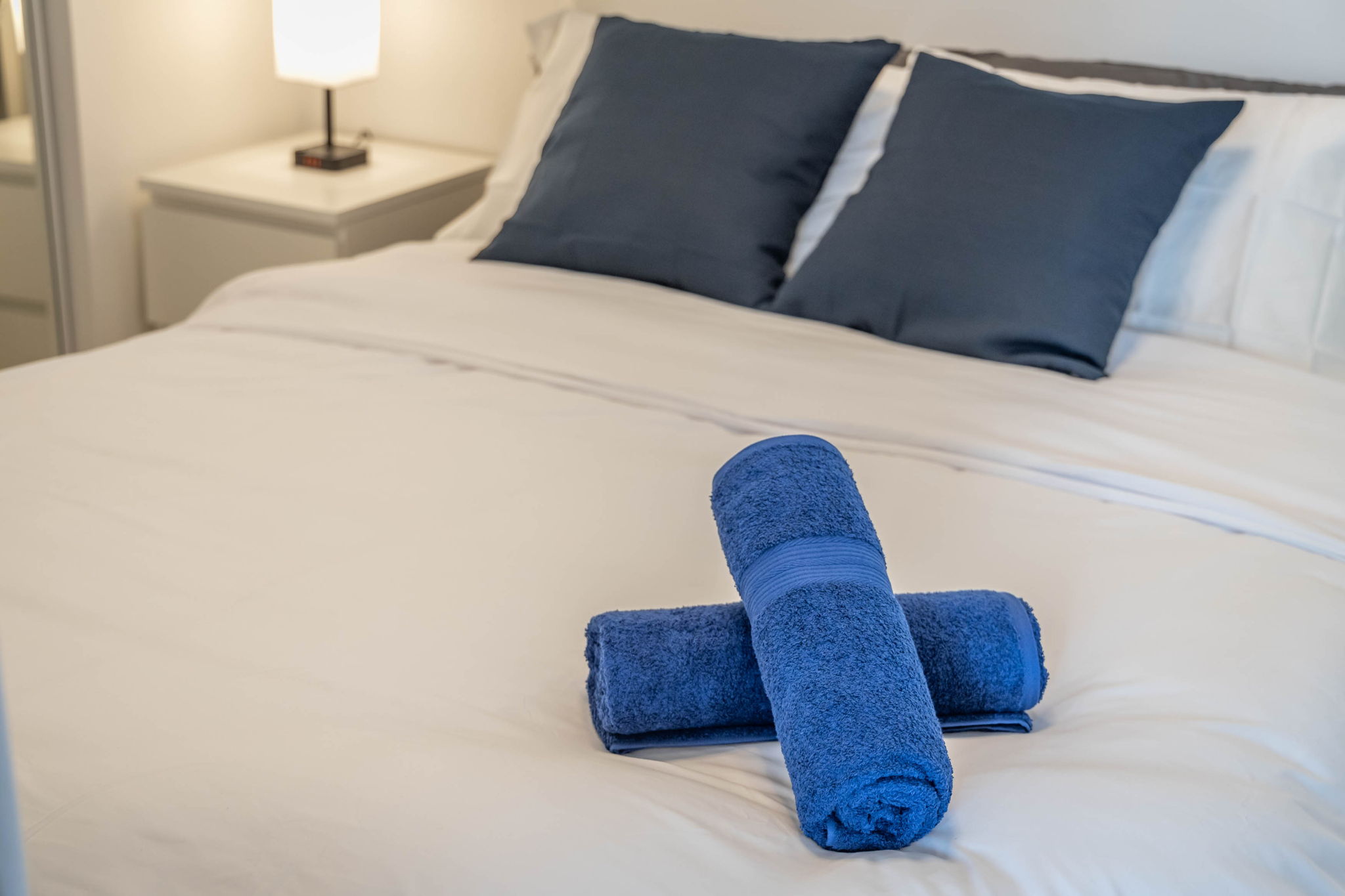 Toronto property showcase — delivered property photograph 29