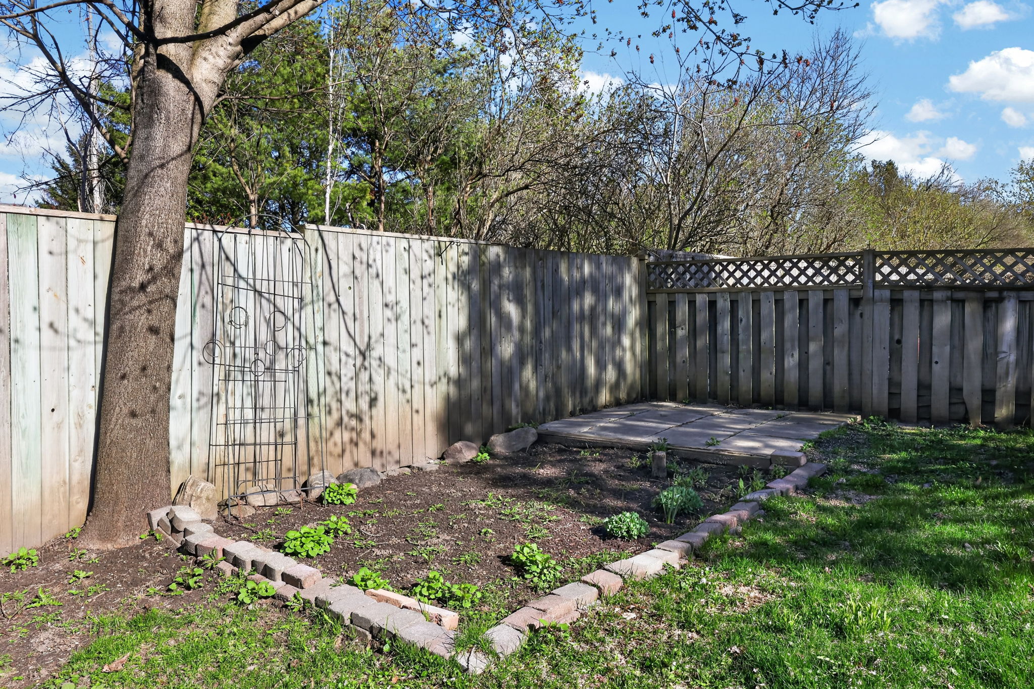  Photo 45