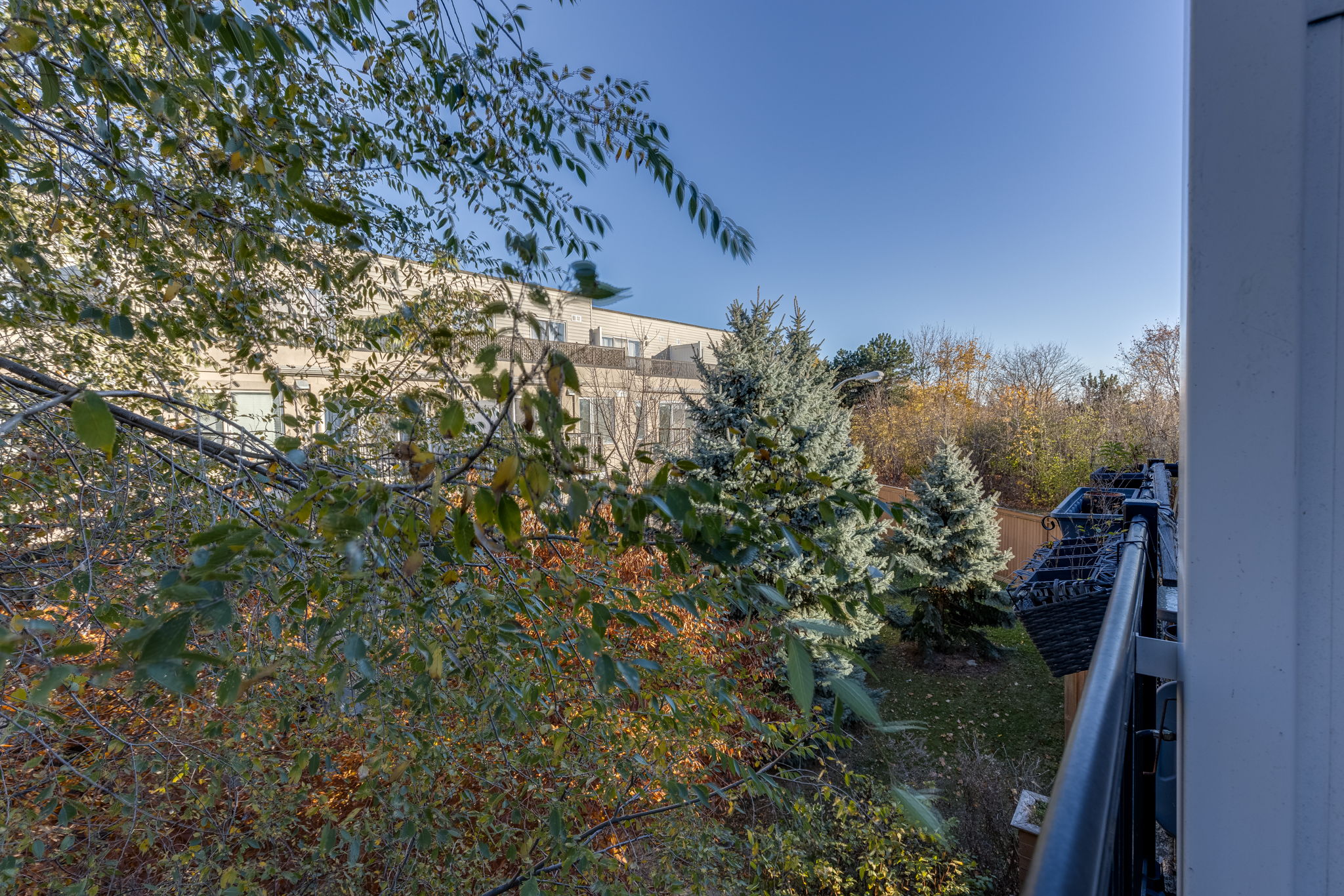 Toronto property showcase — delivered property photograph 22