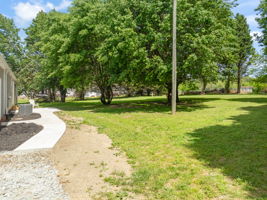  Photo 35