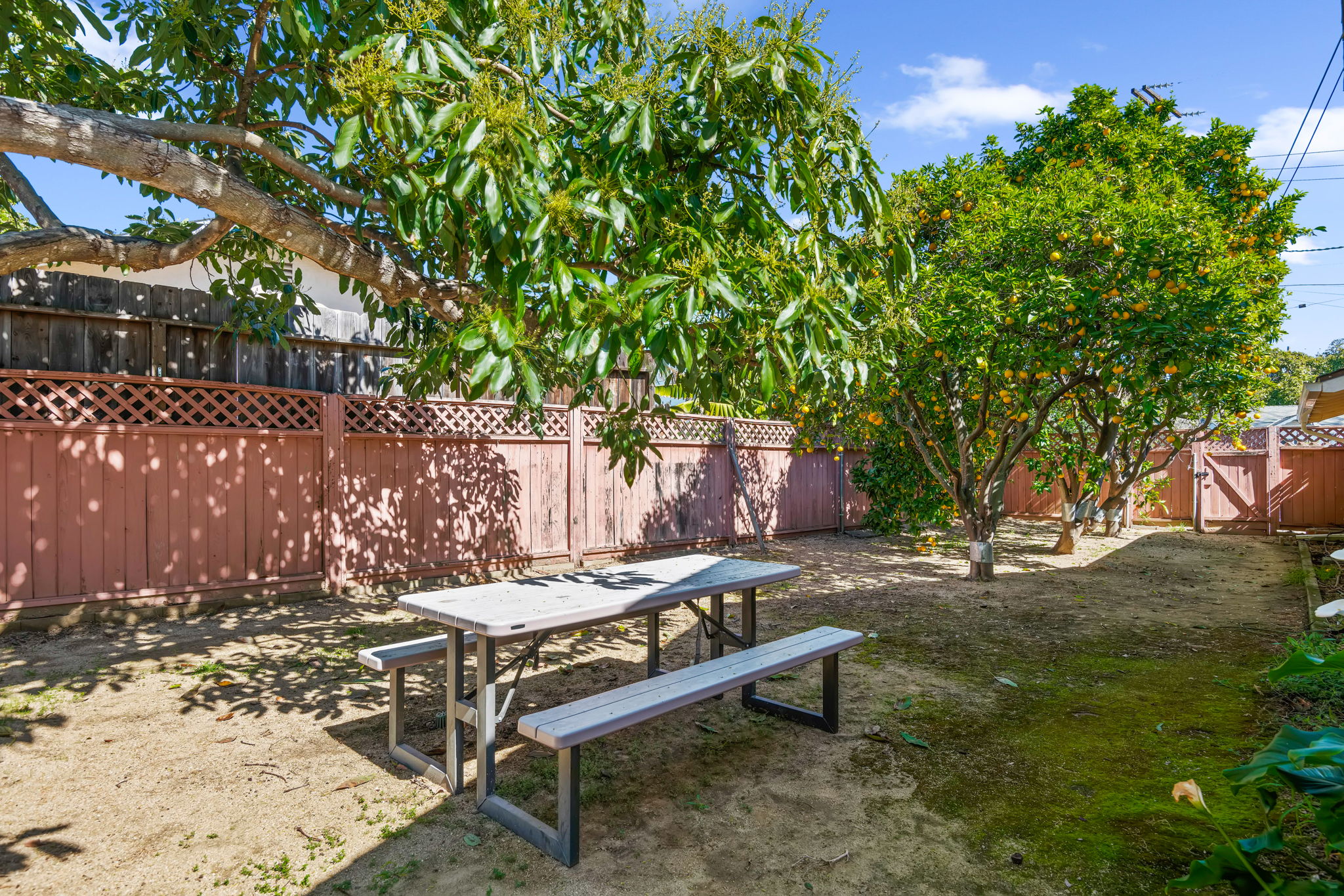 20-Side Yard & Fruit Trees