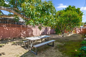 20-Side Yard & Fruit Trees