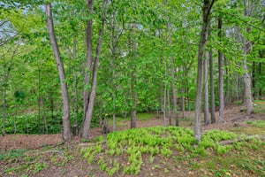 Lexington Ct-S1605-034.jpg