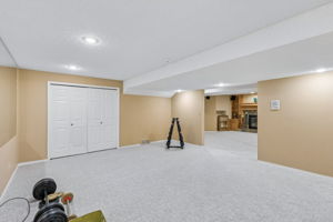 06.12.2026 - Kevin Chapman - 65 Woodpath Terrace SW_54