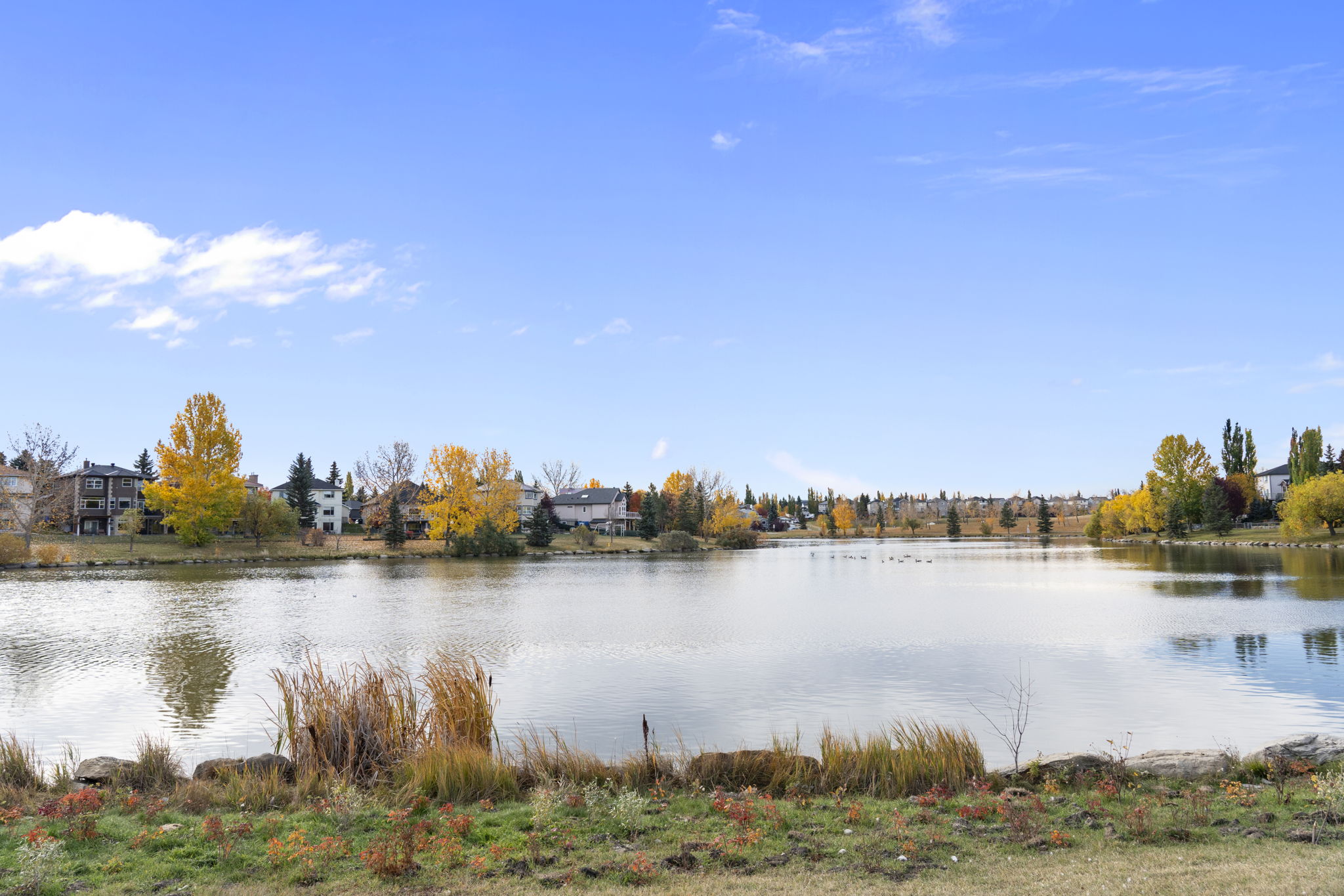  Photo 74