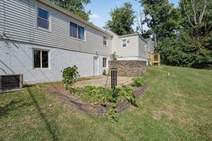  Photo 41