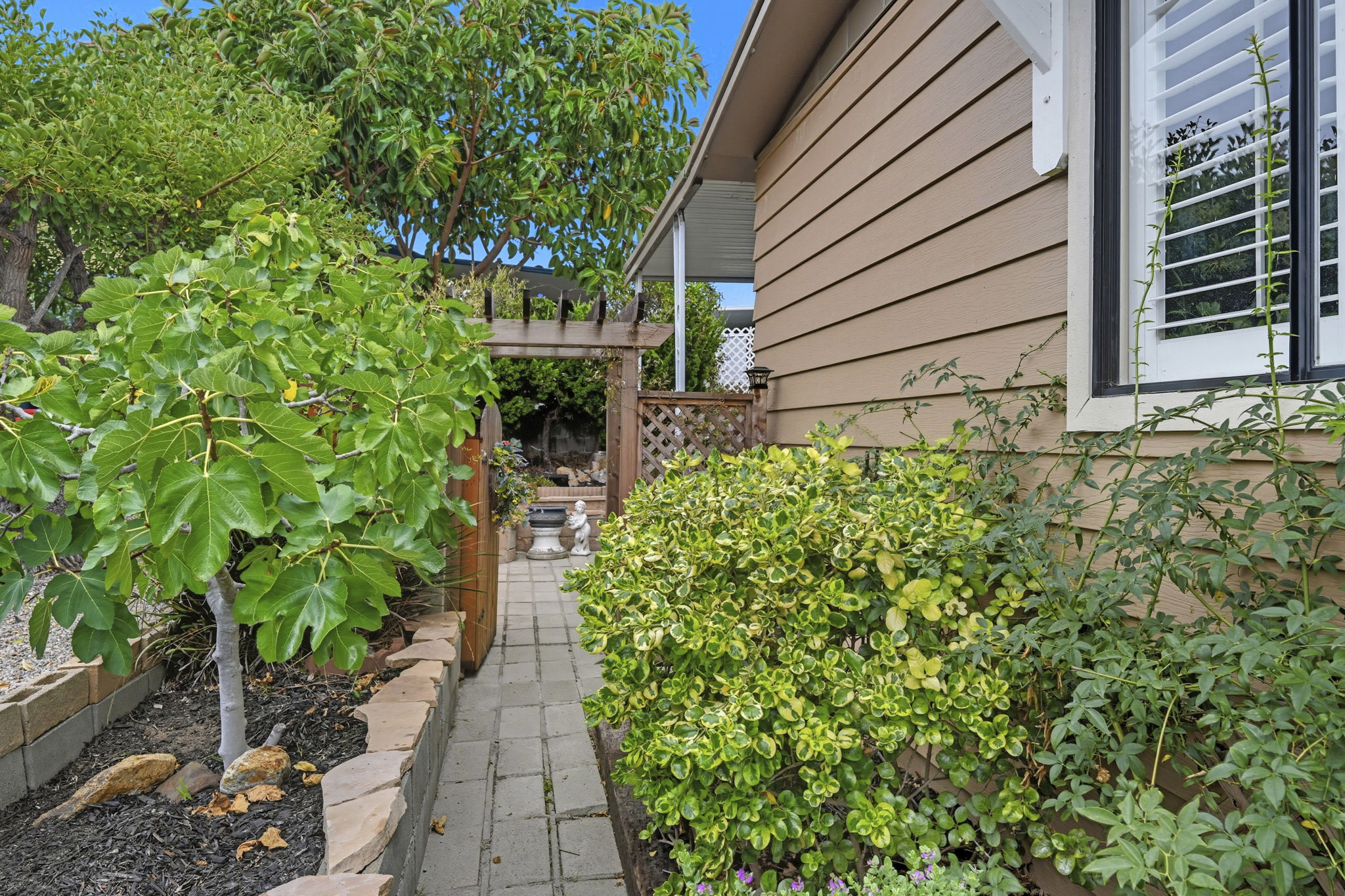  Photo 38