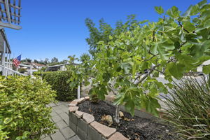  Photo 36