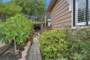  Photo 37