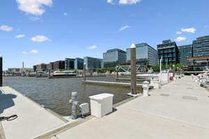 DSC06682.jpg