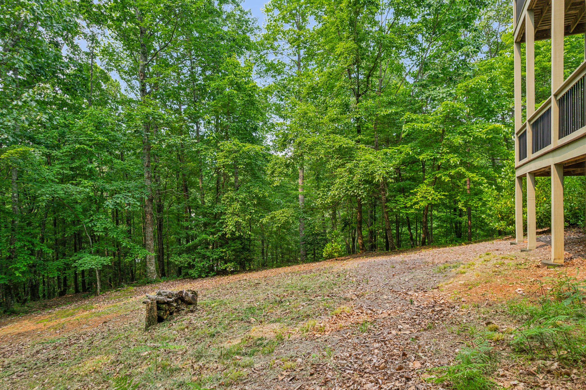 Local_Flavor_Films-650_Wildcat_Trail_Big_Canoe_GA-336.jpg