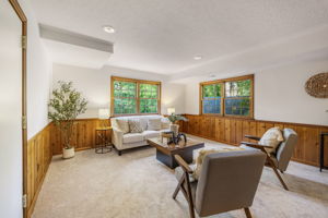 Large Lower Level Walk-out Recreation Room