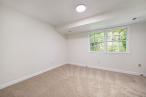 Lower Level Bedroom 4