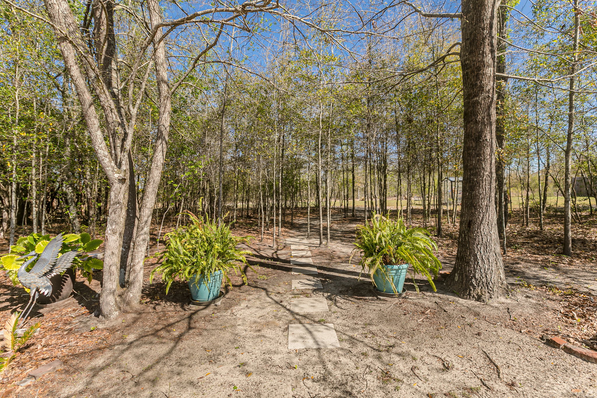 6510 Kiawah Trail, Aiken, SC 29803, USA Photo 43