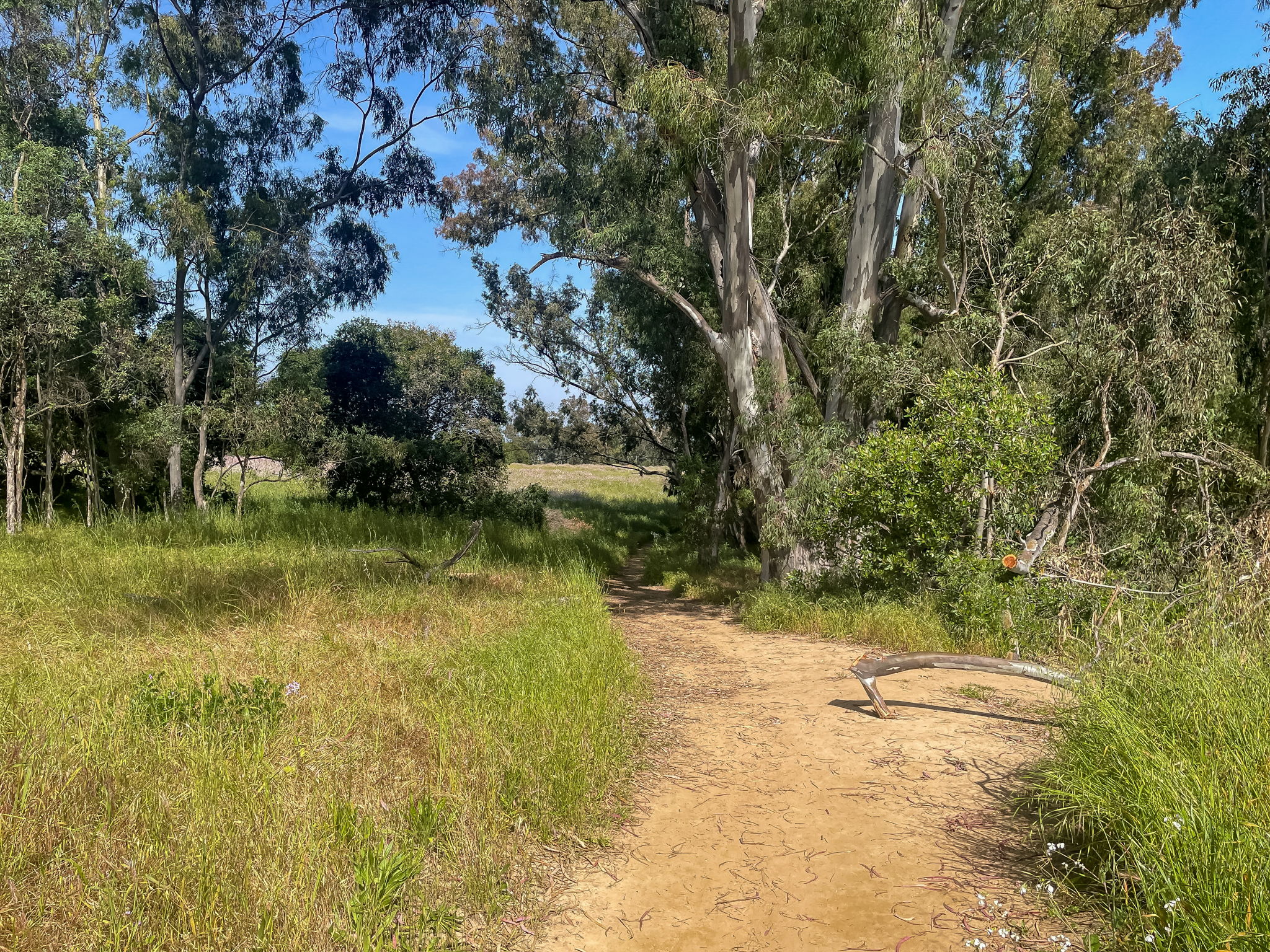 10 - Trails