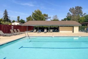 01 - Community Pool