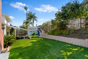 26 - Back Yard