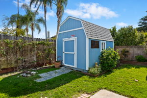 29 - Shed