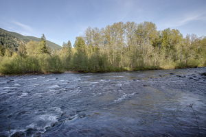  Photo 53