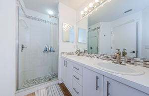 Master Bathroom 1b