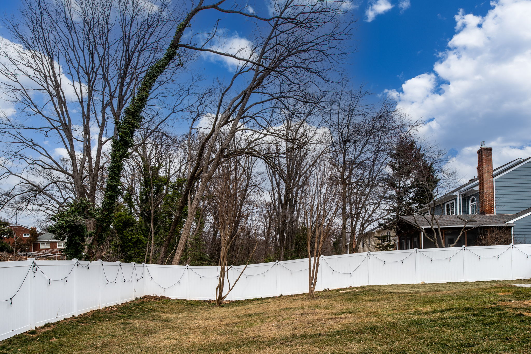 6516 Princeton Dr, Alexandria, VA 22307, USA Photo 80