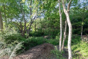  Photo 51